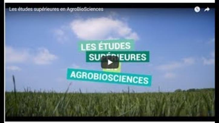 Les études supérieures en agrobiosciences Vignette