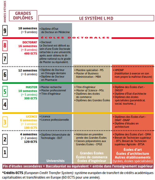 Schéma diplôme Schéma diplôme